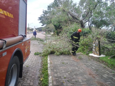 Corpo de Bombeiros removeu quatro árvores que caíram com os fortes ventos do final de semana