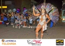 Carnaval na Passarela do Samba - Fotos Roni Coelho
