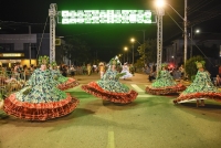 Carnaval de rua reuniu duas Escolas, Carros humorísticos e blocos