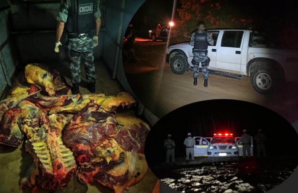 Brigada Militar realizou Operação Avante Combate ao Abigeato em SLS e região, apreendendo 250 quilos de carne bovina