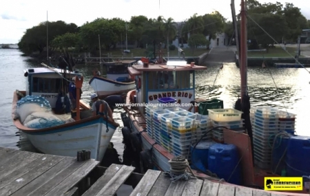 Safra de camarão novamente foi frustrante