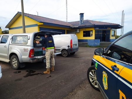 PRF apreende mais de meia tonelada de camarão transportado sem condições de higiene em Cristal