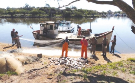 Período de Seguro Defeso iniciou nesta terça-feira,1º de junho