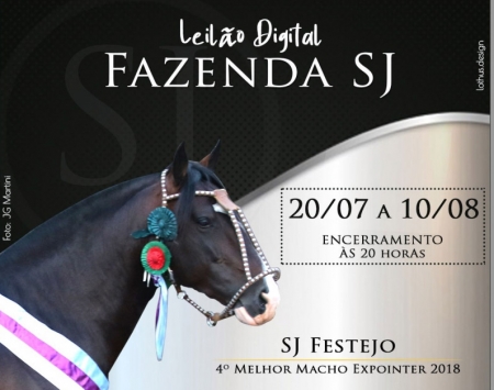 Fazenda São João realiza Leilão Digital