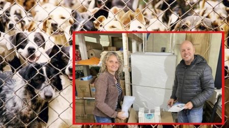 Novos materiais hospitalares e equipamentos veterinários para o Abrigo Municipal de Animais