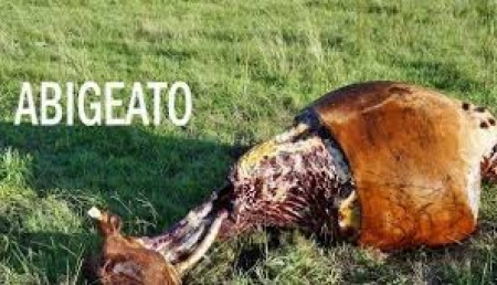 Furto abigeato em Passo dos Baios