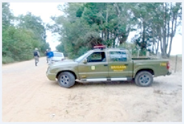 ABIGEATO: Brigada Militar apreende dois adolescentes por tentativa de abigeato na estrada da Camponesa
