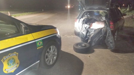 PRF: Meia tonelada de camarão apreendida em Camaquã foi doada para famílias de baixa renda