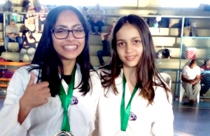 tae kon do sao lourenco