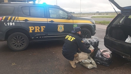 PRF e PC apreendem skunk em Camaquã