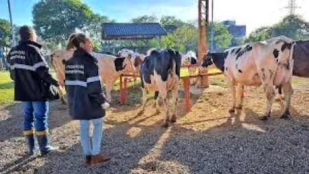 Governo dá desconto de 80% para dívidas de multas aplicadas pelas Inspetorias Veterinárias de todo Estado