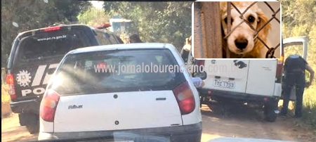 Maus-tratos a animais: 43 cães e 8 pássaros silvestres são apreendidos pela Polícia Civil no Rincão dos Azevedos