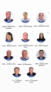 Confira os candidatos a vereadores eleitos em São Lourenço do Sul