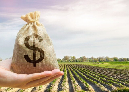 Crédito para a safra deverá ser liberado aos produtores