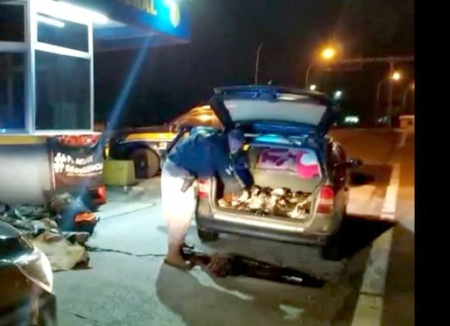 PRF prende quatro pessoas por crime ambiental em Pelotas