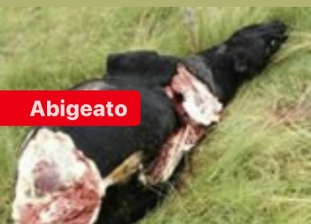 Furto abigeato na Estrada Passo dos Baios