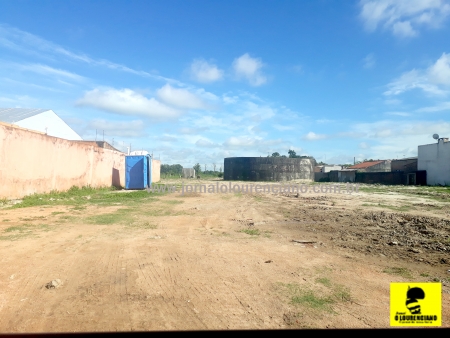 Quantos ônibus de excursão estiveram no Terminal Turístico?