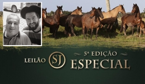 leilão são joão