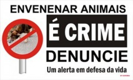 Tentativa de envenenamento de cachorro