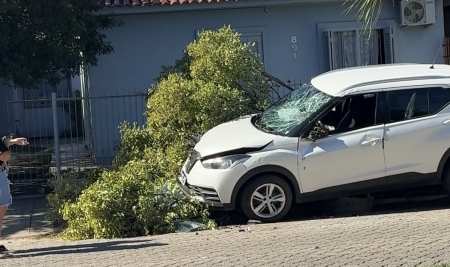 Motorista perdeu o controle do veículo e colidiu contra arvore na avenida |solina Passos
