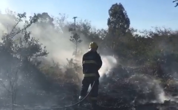 Corpo de Bombeiros de SLS apagou incêndio em vegetação na rua Max Stenzel