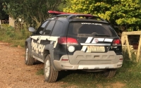 Furto abigeato em Passo das Pedras