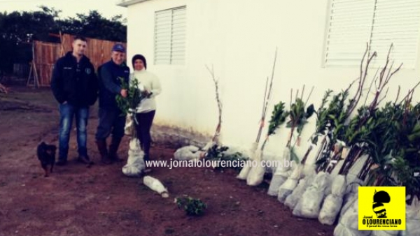 ASCAR-EMATER/RS Campanha de mudas frutíferas e ornamentais