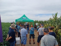 COOPAR/POMERANO realizou Dia de Campo