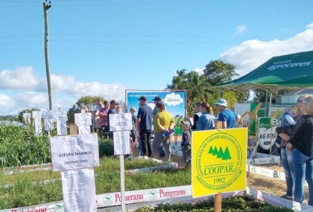 Conheça o trabalho realizado pela assistência técnica da Coopar