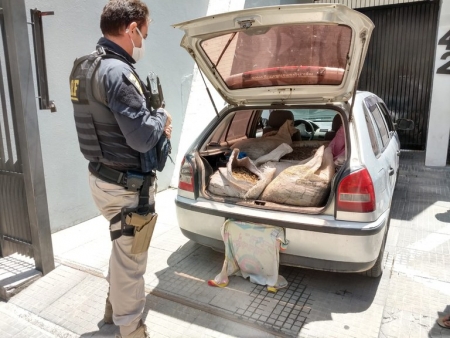 PRF apreende quase meia tonelada de camarão transportado sem refrigeração em Rio Grande