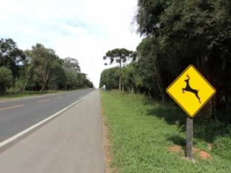 DNIT lança cartilha sobre a fauna existente no entorno das obras de duplicação da BR-116/RS