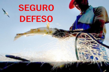 SEGURO DEFESO: para normalizar o pagamento, INSS fará processamento manual do Seguro Defeso