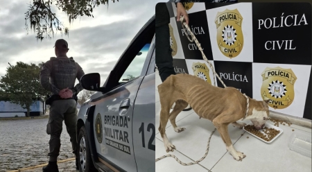 Irmãos são presos pela Brigada Militar em apoio à Seplama por maus-tratos a animal em São Lourenço do Sul