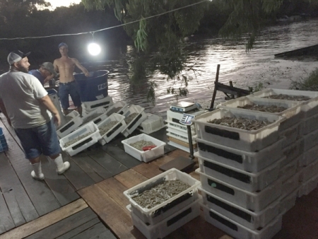 Reunião debate parâmetros para a comercialização do pescado