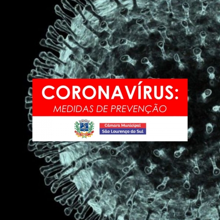 Câmara de Vereadores estabelece medidas temporárias de prevenção ao  contágio pelo Novo Coronavírus