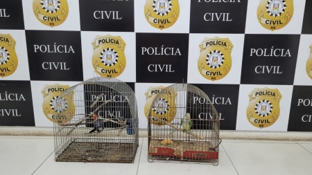 Policia Civil apreendeu pássaros silvestres no Boqueirão
