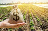 Agricultores familiares podem renegociar parcelas de investimento do Pronaf