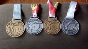 São Lourenço esteve representado na 15ª Copa fronteira sul open de Tae Kwon do