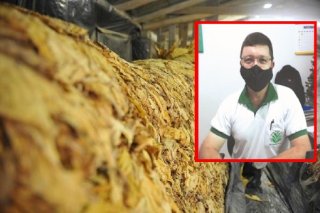 Cenário da comercialização do tabaco em São Lourenço do Sul