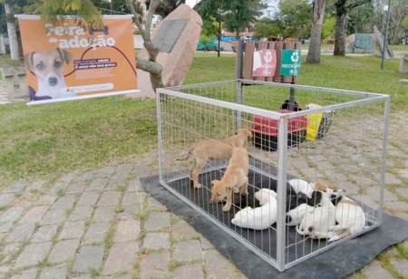 Sete filhotes do Abrigo Municipal foram adotados durante Feira de Adoção na Praça Central Dedê Serpa