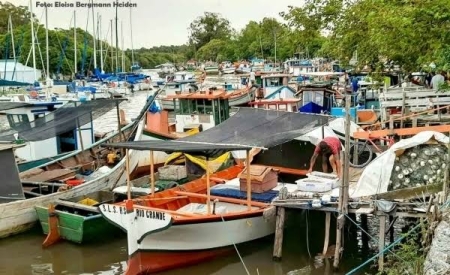 Expectativa dos pescadores para safra do camarão não é nada animadora