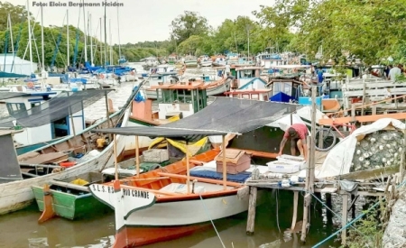 Período de Defeso inicia amanhã, quarta-feira (1º)
