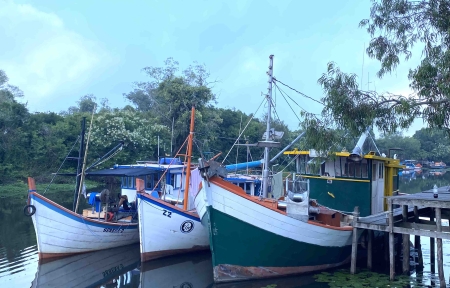 Safra do camarão 2023 abre oficialmente nesta quinta-feira (2)