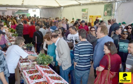 TURUÇU: FESTA DO MORANGO E DA PIMENTA 2021 É CANCELADA 