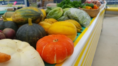 CAPA completa 43 anos de existência e inaugura novo ponto de feira