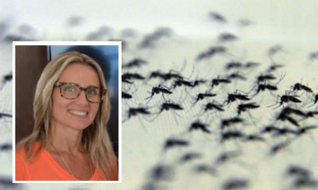 Leitores questionam sobre excesso de mosquitos no município - Secretária de Saúde falou sobre o assunto