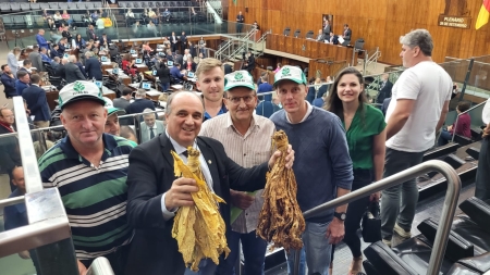 Assembleia aprova Projeto de Zé Nunes que prevê a classificação do fumo na propriedade